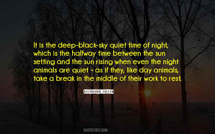 Quotes About The Setting Sun #166366