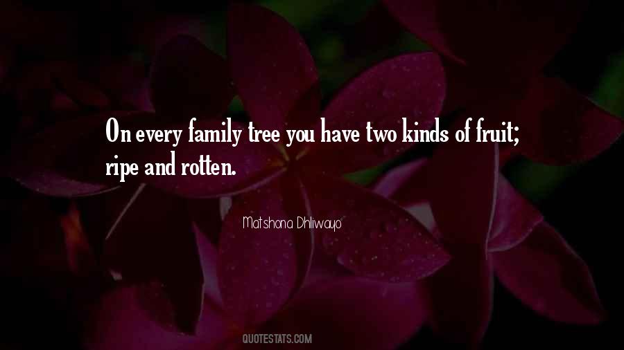 Quotes About Family Tree #32506