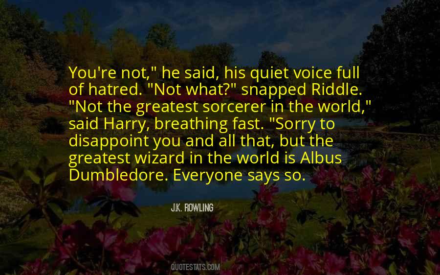 Quotes About Albus Dumbledore #146090