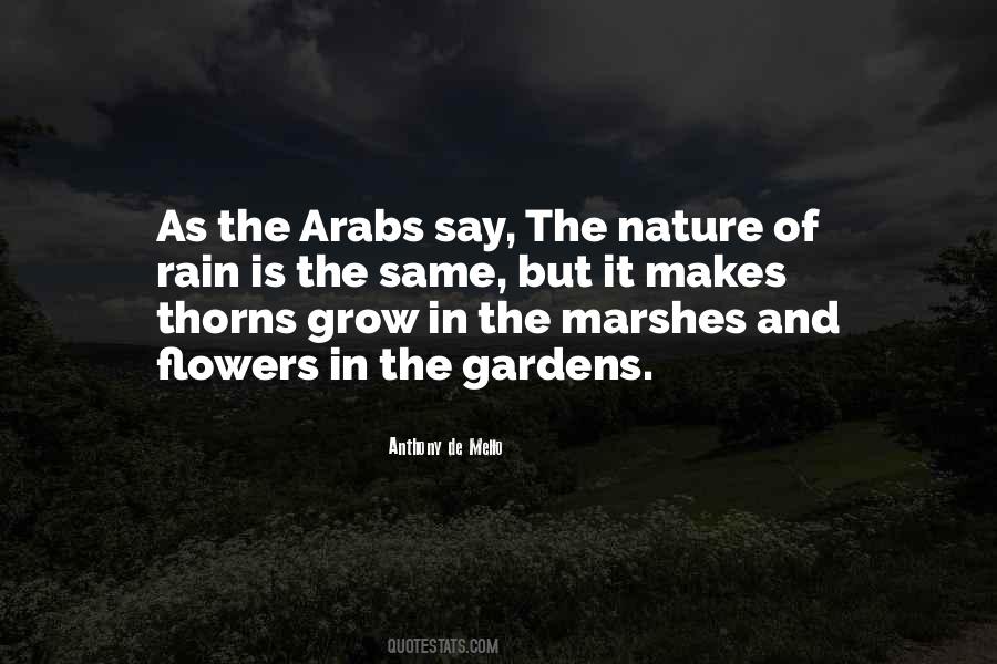 Quotes About Marshes #105492