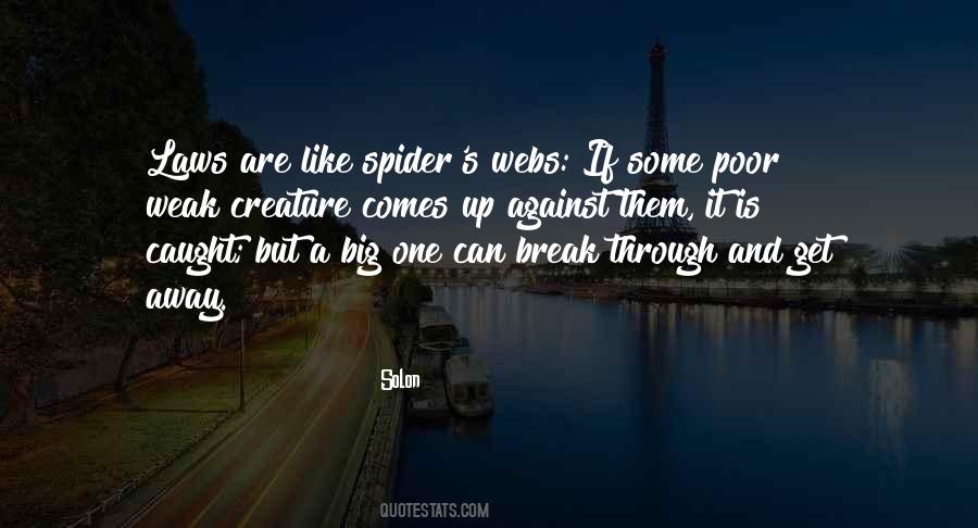 Quotes About Spiders Webs #108704