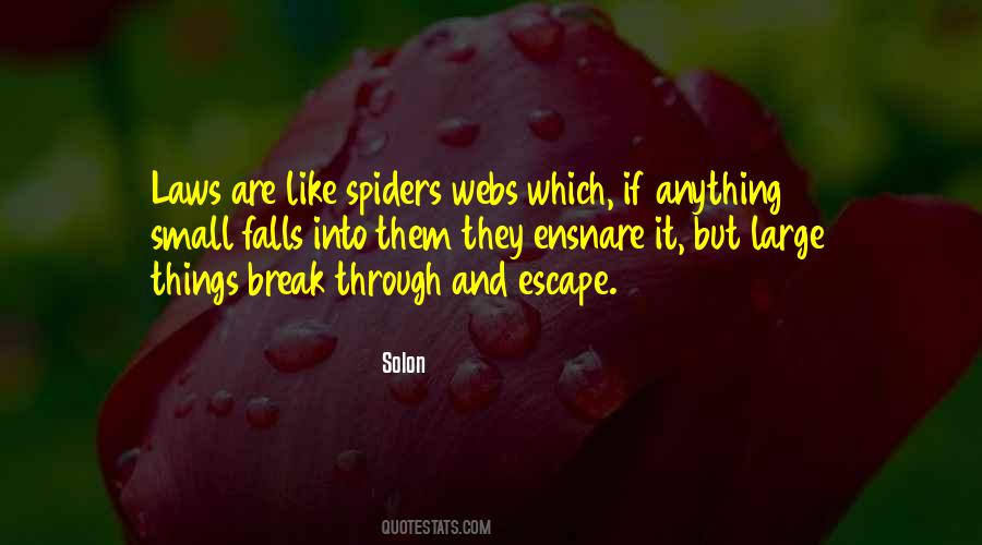 Quotes About Spiders Webs #483091