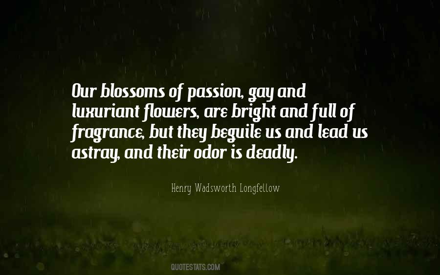 Quotes About Passion Flower #350516