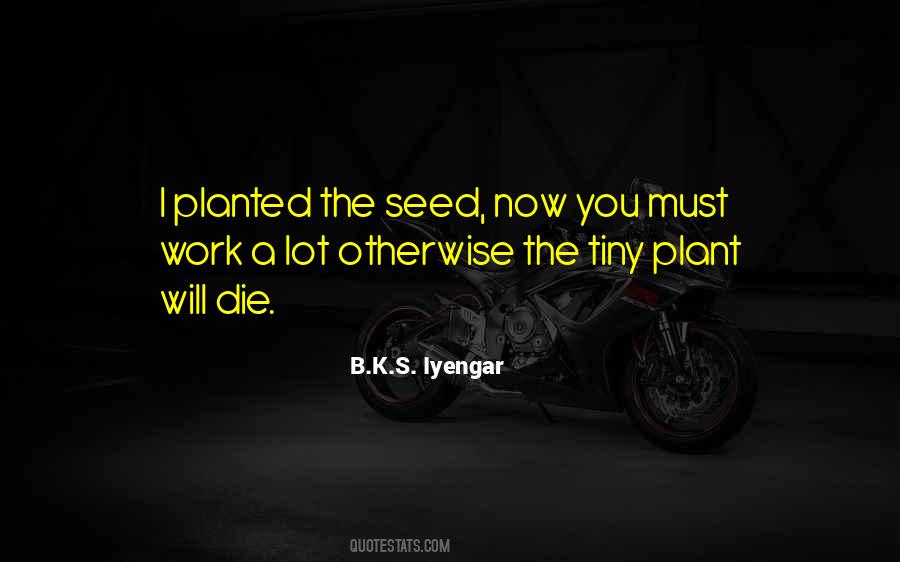 Plant The Seed Quotes #1364361