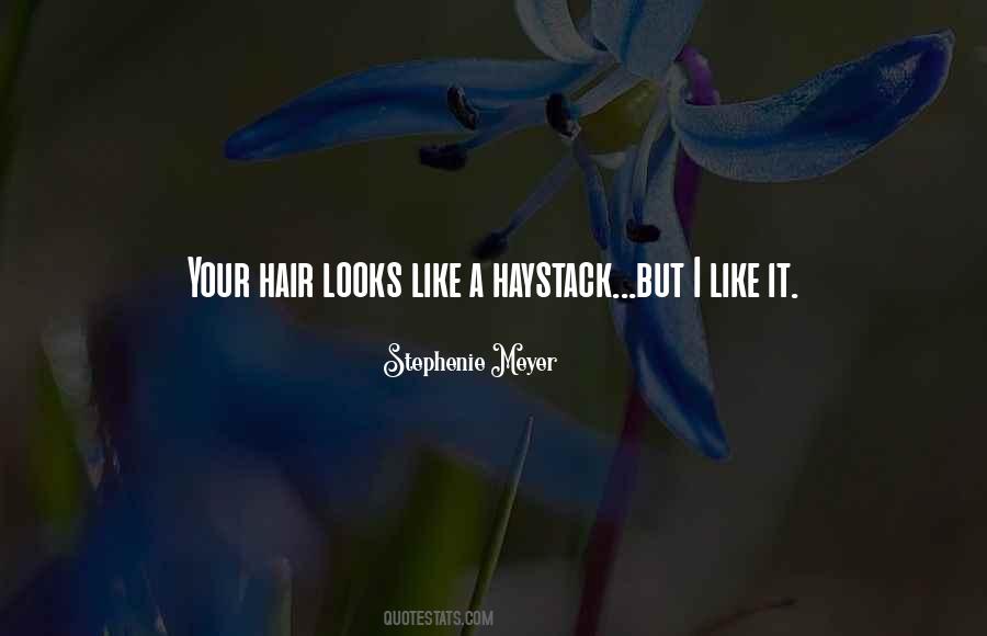 A Haystack Quotes #1544890