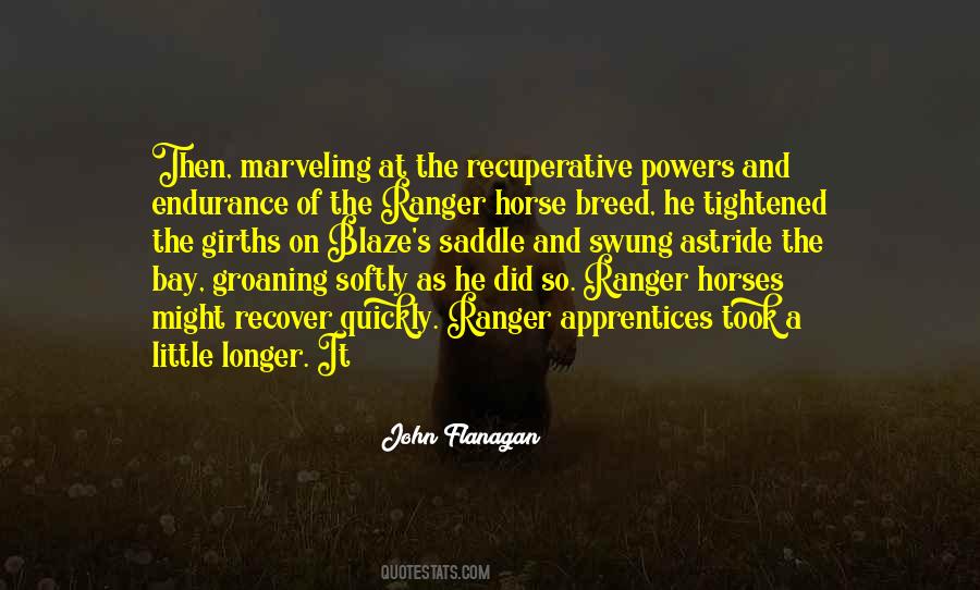 Quotes About Bay Horses #673193