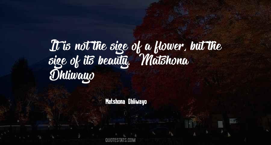 Quotes About Size And Beauty #850028