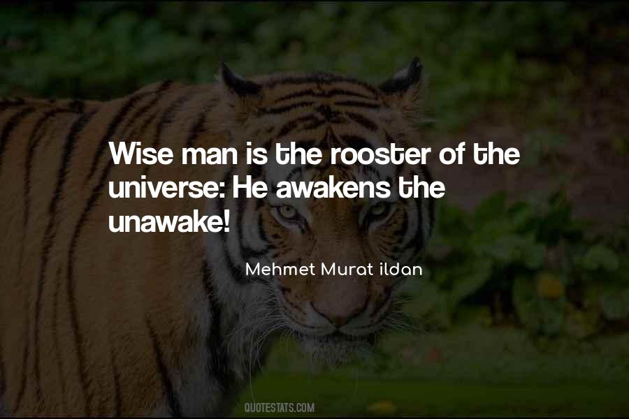 The Rooster Quotes #1706423