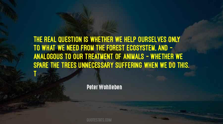 Quotes About Treatment Of Animals #301715