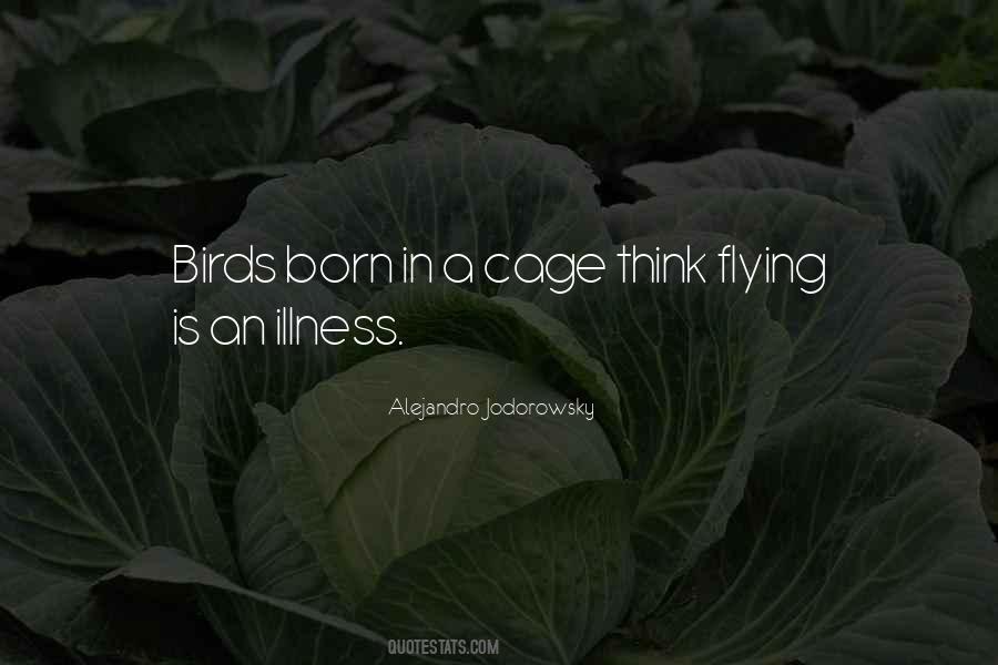 Quotes About Flying Birds #1306166