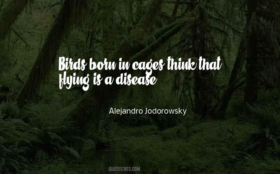 Quotes About Flying Birds #1761488