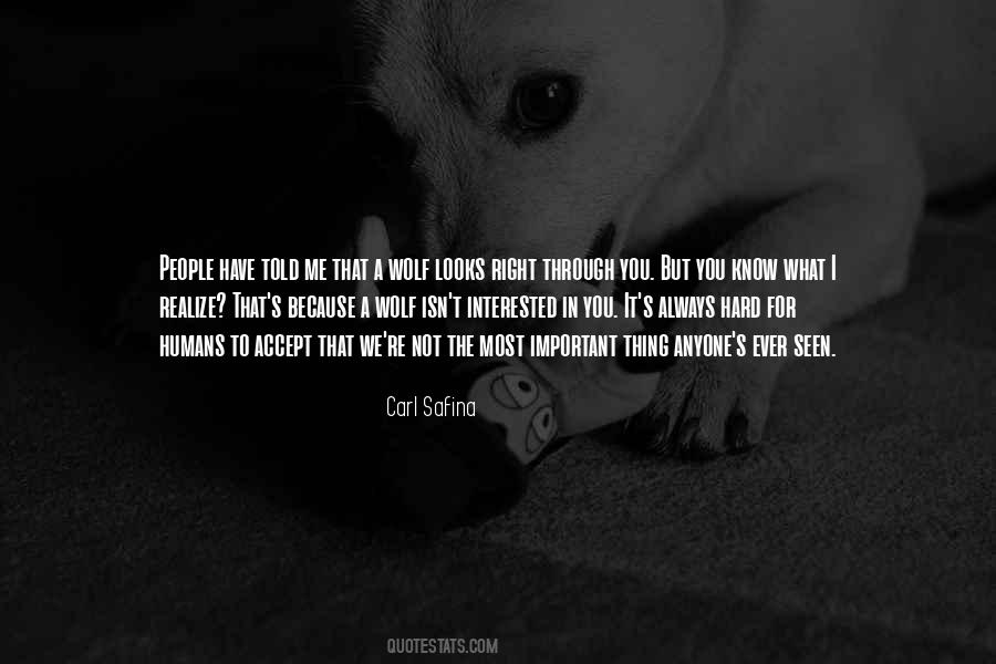 Quotes About A Wolf #1028979
