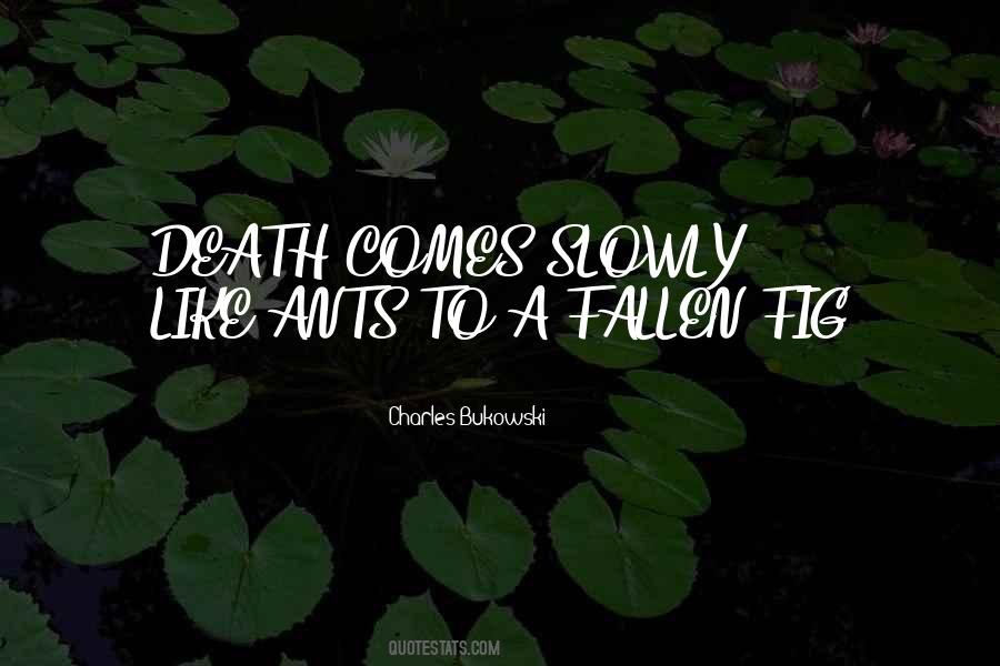 Quotes About Death Morbid #333301