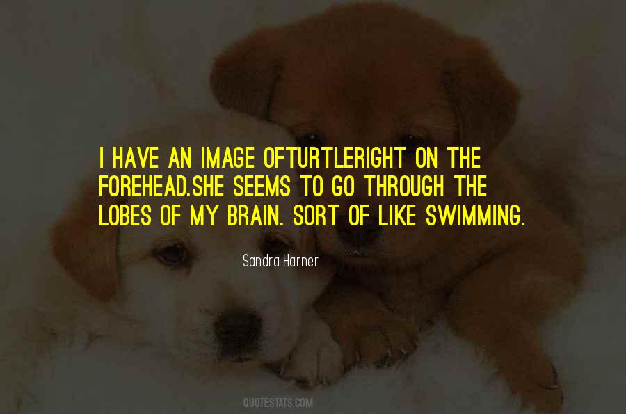 Shamanism Healing Quotes #1253059