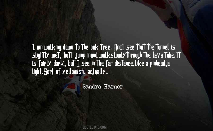 Shamanism Healing Quotes #1570346