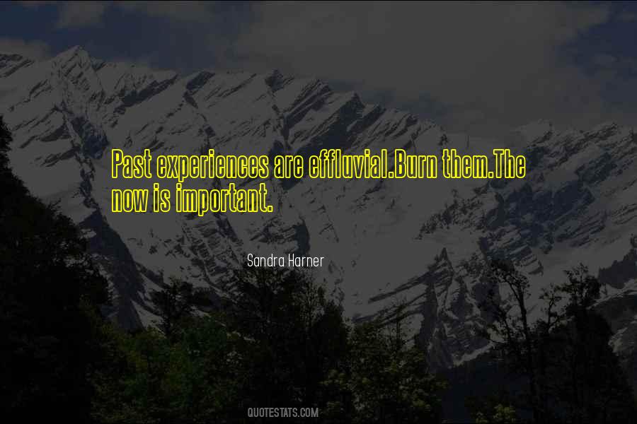 Shamanism Healing Quotes #924509