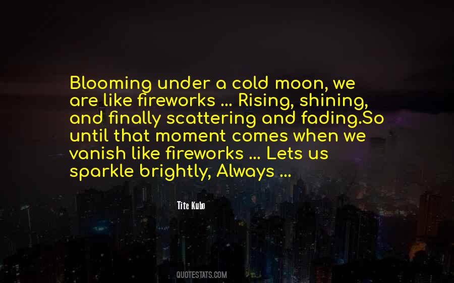 Quotes About Fireworks #762778