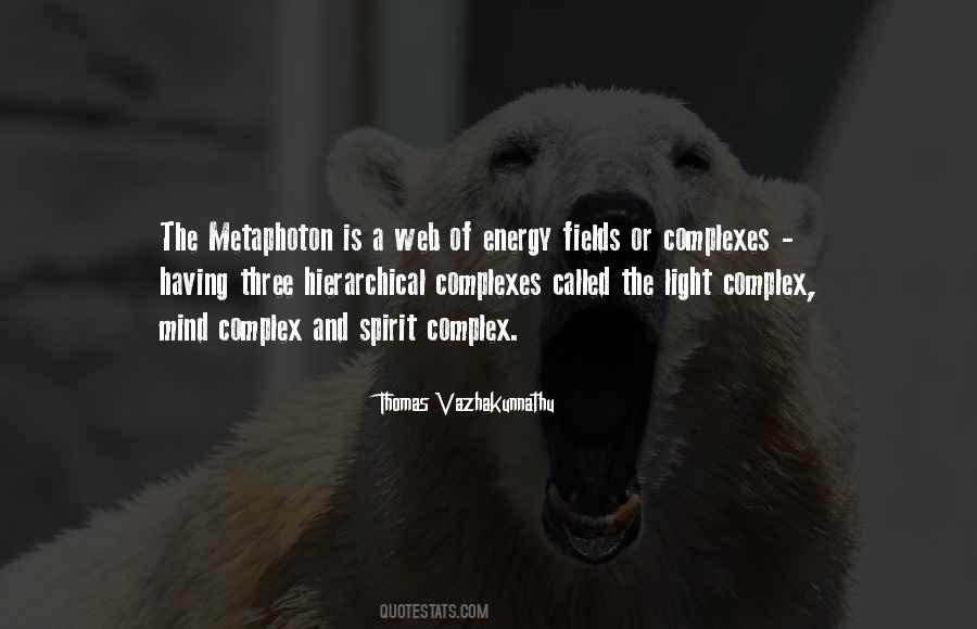 Quotes About Energy Fields #337867