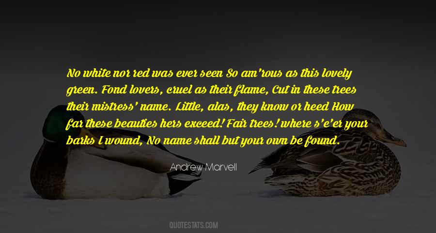 Quotes About No Name #477029