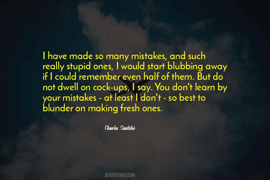 Quotes About Stupid Mistakes #1560839
