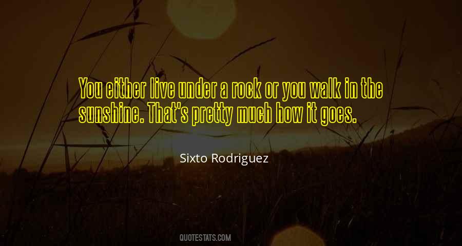 In The Sunshine Quotes #1636613