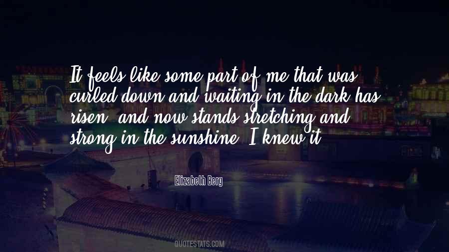 In The Sunshine Quotes #1872108