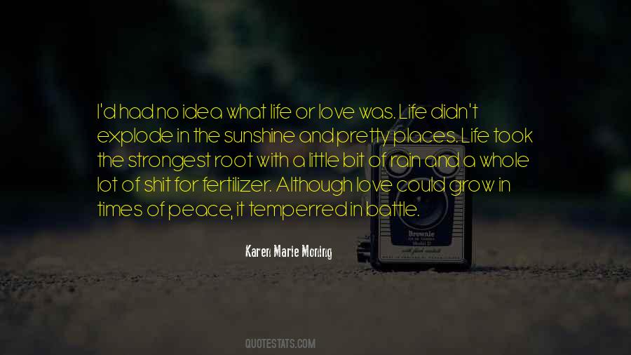 In The Sunshine Quotes #447583