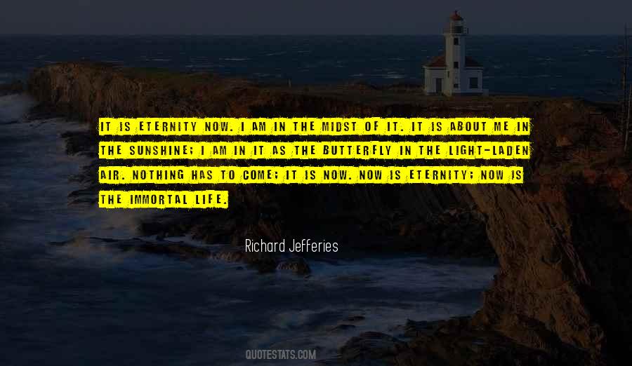 In The Sunshine Quotes #585611