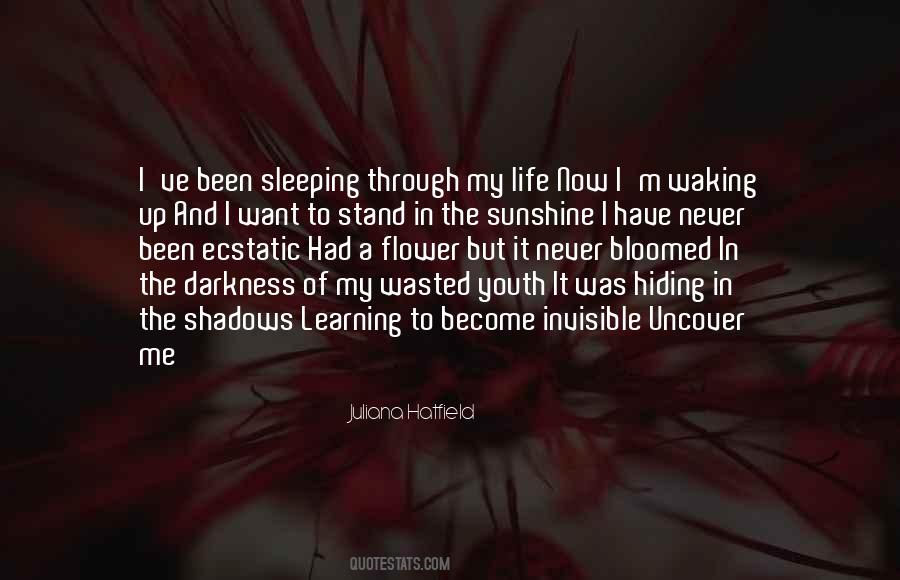 In The Sunshine Quotes #882896