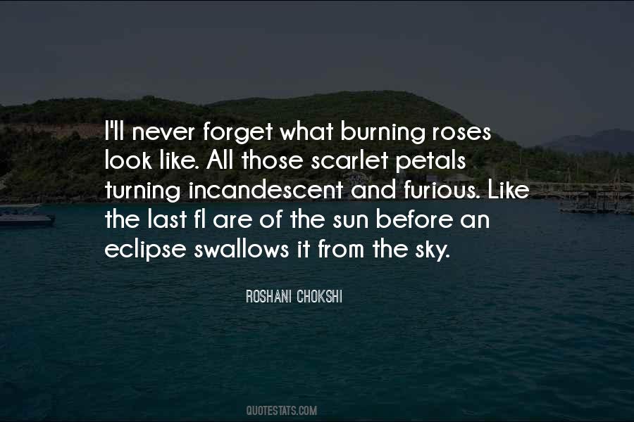 Burning Sun Quotes #3781