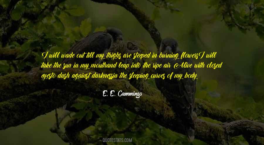 Burning Sun Quotes #552748