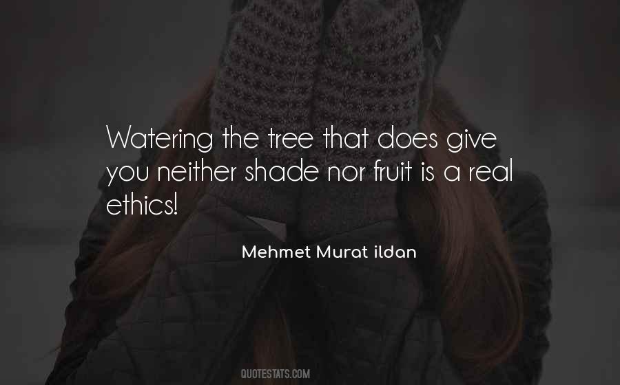 Quotes About A Shade Tree #503368