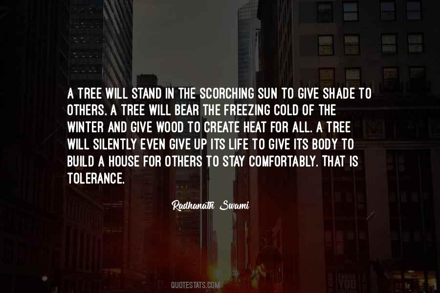 Quotes About A Shade Tree #949274