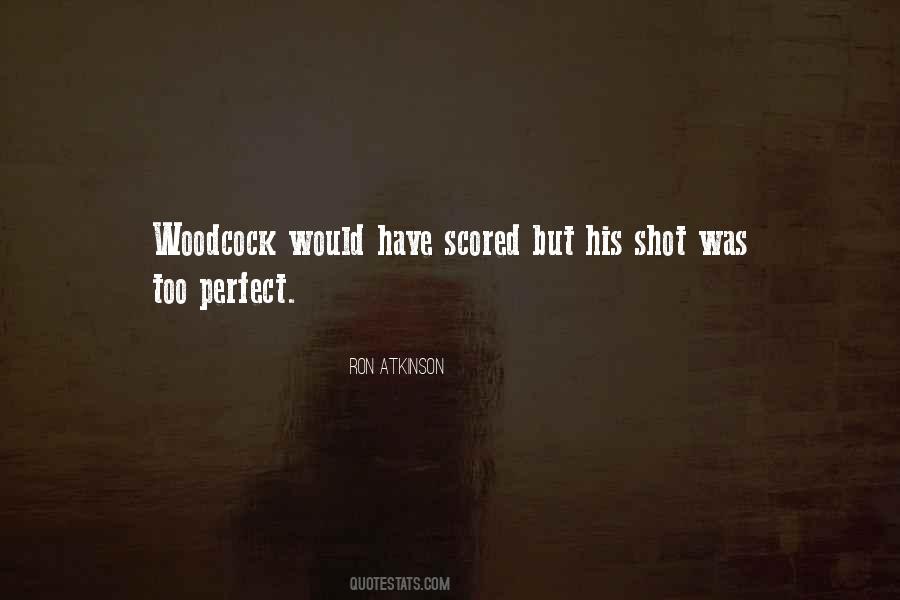 Too Perfect Quotes #1174344
