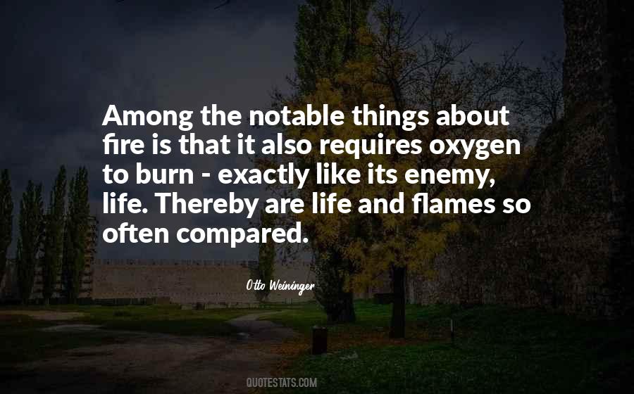 Quotes About Life And Flames #214123