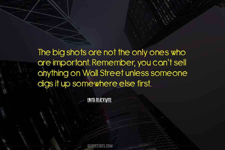 Quotes About Big Shots #1678010