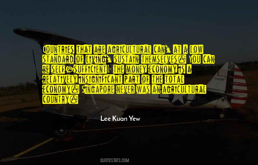 You Are Sufficient Quotes #1735724
