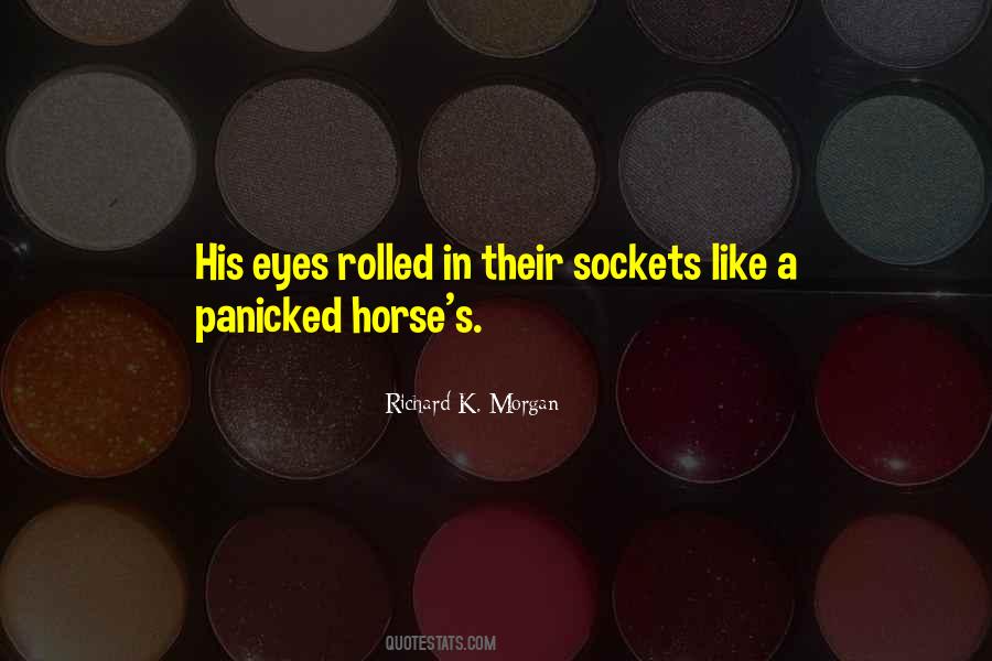 Quotes About Sockets #1810210