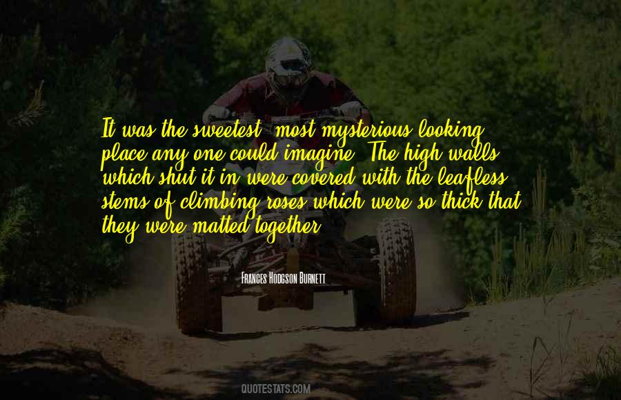 Quotes About Climbing Walls #1041799