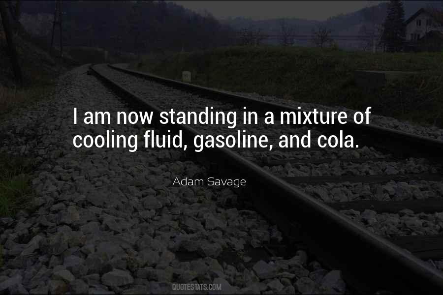 Quotes About Gasoline #1374819