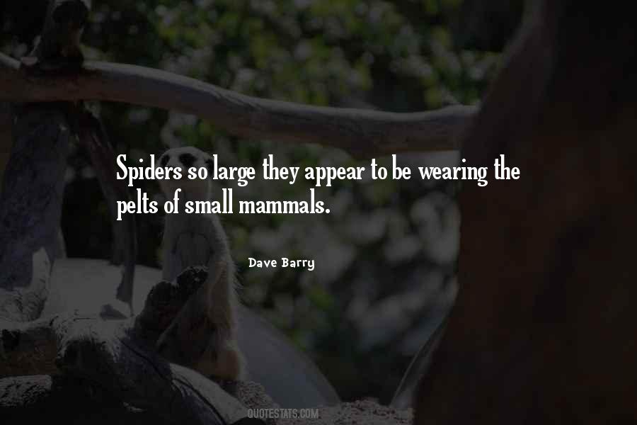 Quotes About Spiders #1096104