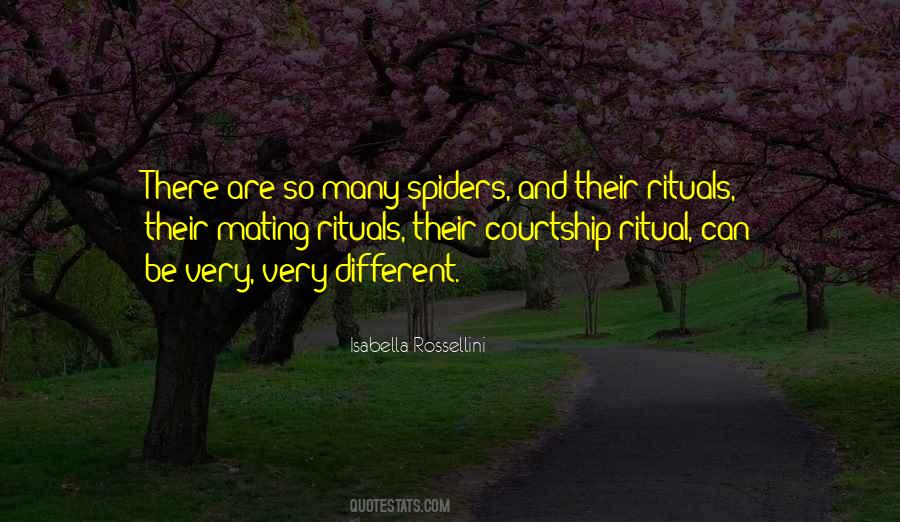 Quotes About Spiders #1821119