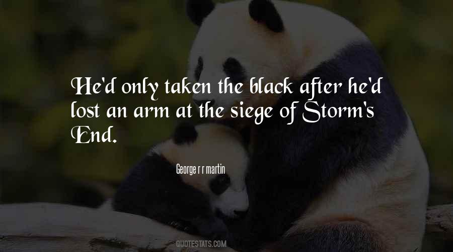 Quotes About After The Storm #887577