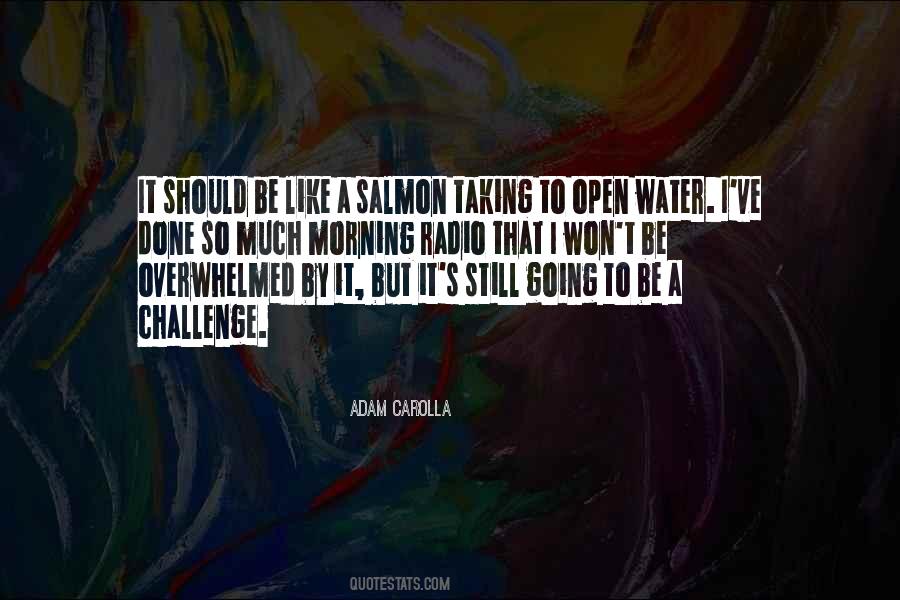 Quotes About Taking Up Challenges #141435