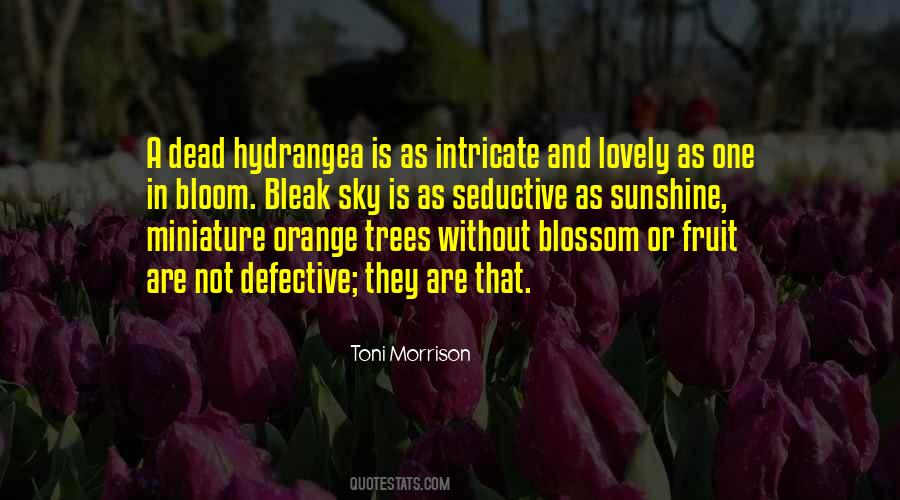 Quotes About Orange Trees #170277