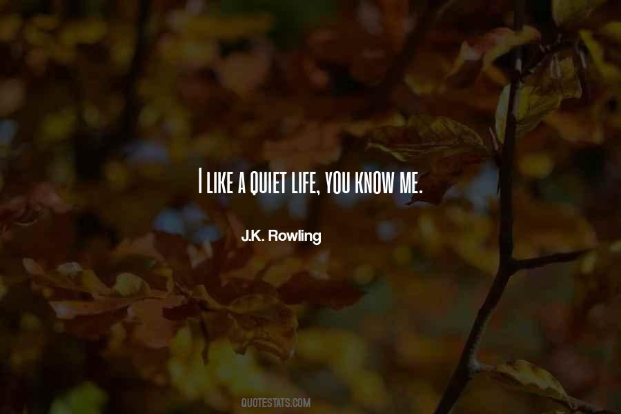 Schaduw Tekeningen Quotes #210320