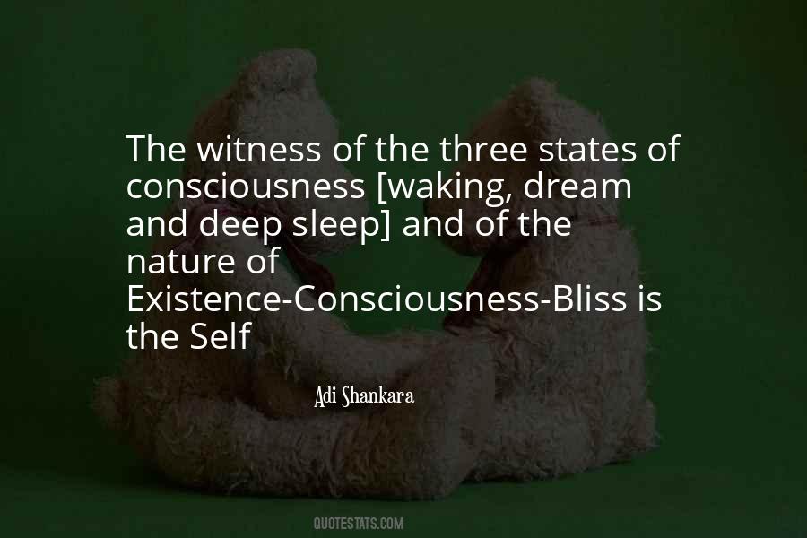 Quotes About Dream And Sleep #295031