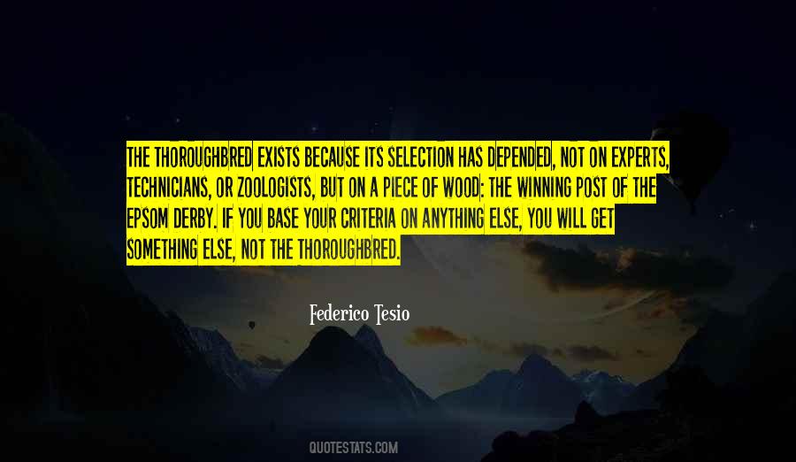 Quotes About Technicians #741266