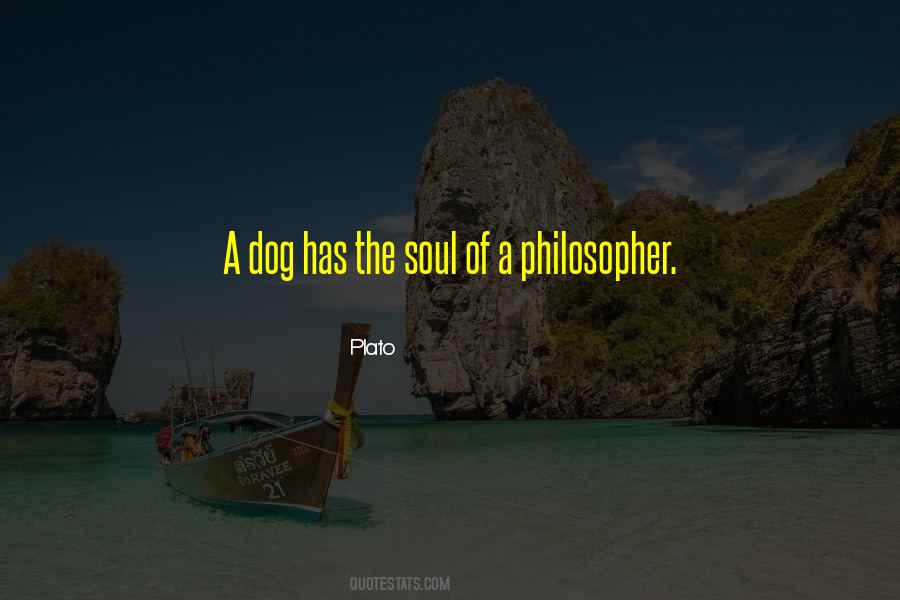 Quotes About A Dog's Soul #1161859