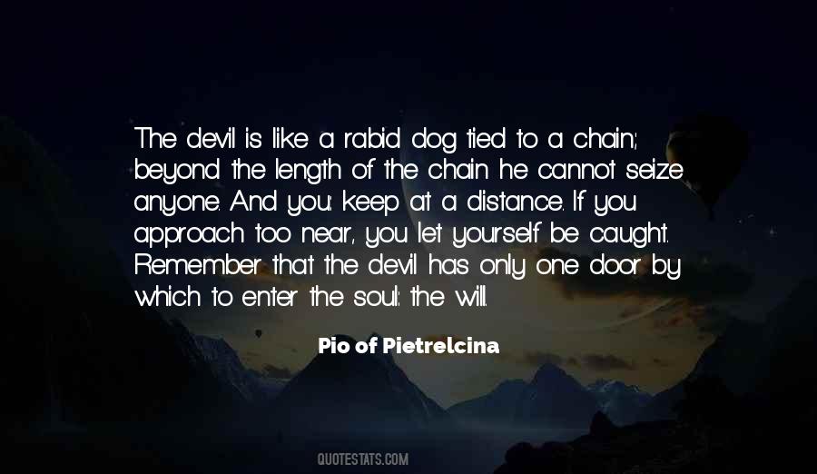 Quotes About A Dog's Soul #1359396